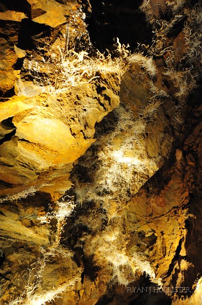 RJH_6136.JPG - Look at all the helectites!  They form when water squeezes through pores so small that water moves through capillary action and can defy gravity.