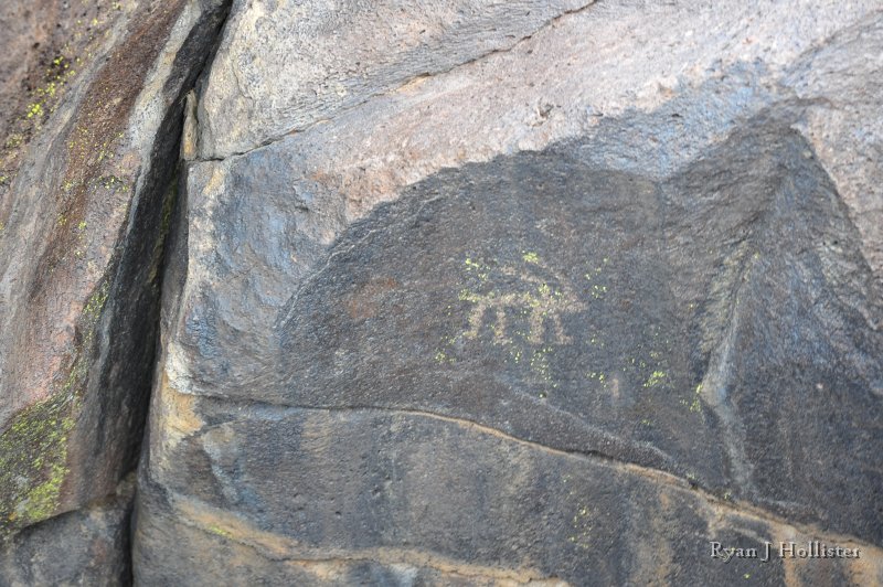 RJH_7855.JPG - Petroglyph of a ram or antelope.