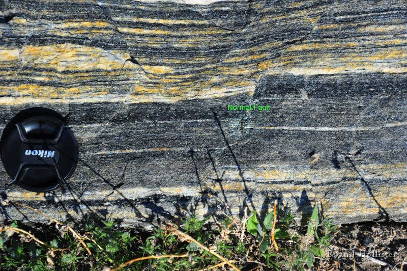 RJH_7951.JPG - A close-up of the fault.