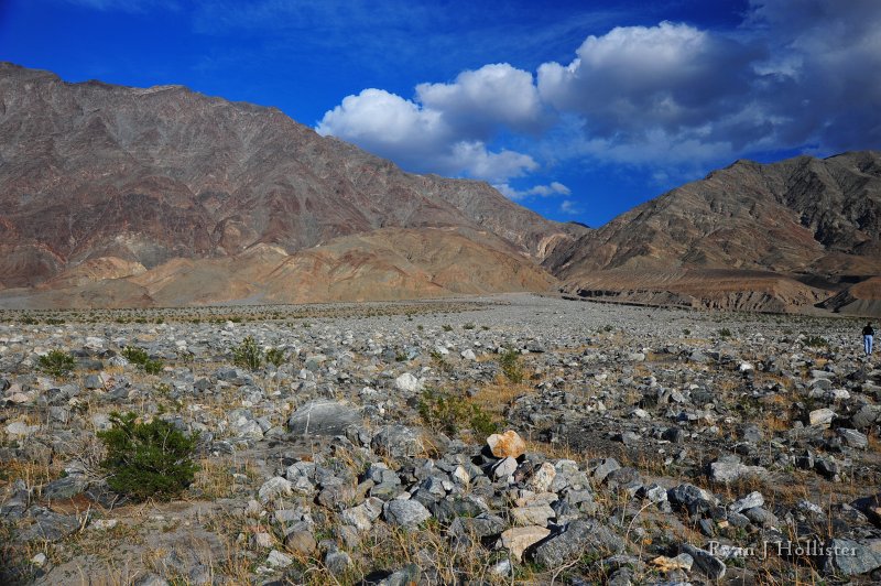 RJH_7952.JPG - This wash brings the mountain to us for inspection.