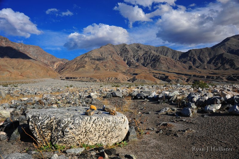 RJH_7959.JPG - Granitic intrusion full of HUGE hornblende crystals (the black stuff).