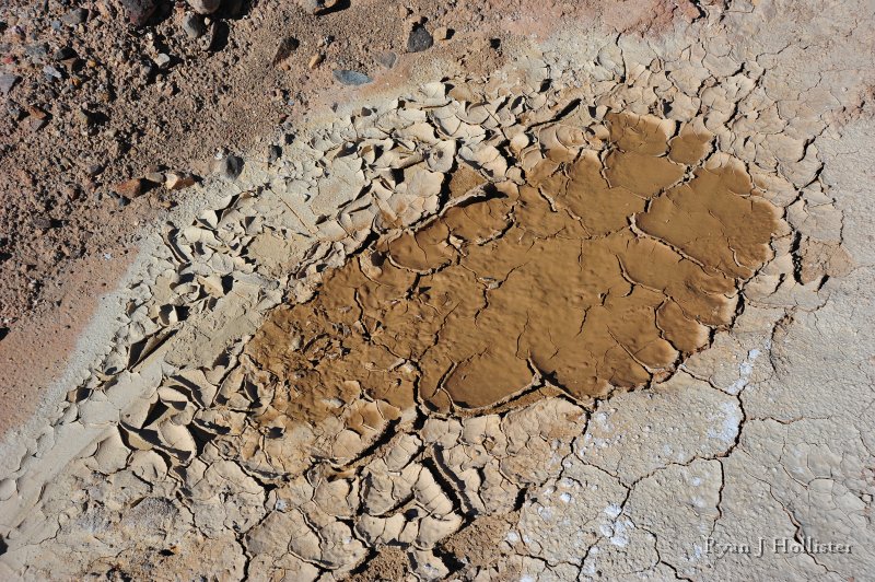 RJH_8089.JPG - Here's a "freshly" drying mud puddle creating mud cracks.