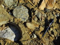 Note pen for scale.  These cobbles are made up of the extrusive volcanic rock andesite (R) and the intrusive igneous granitic rock (L).  There is also a pre-existing conglomerate in the bunch that were cemented in a sandstone matrix.
