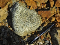 Another beautiful example of the granitic rocks in the conglomerate.