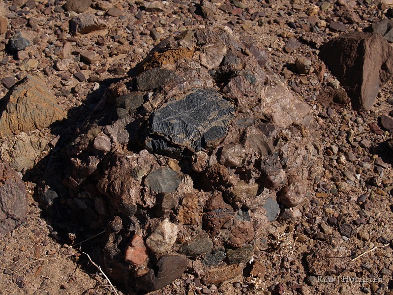 P2175440.JPG - These dropstones have been re-worked & created a new conglomerate.