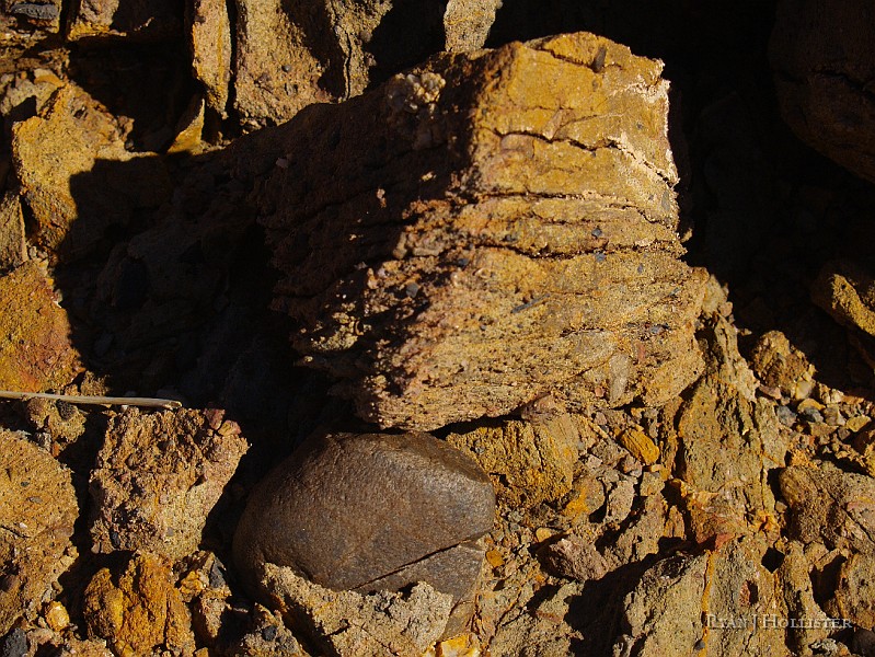 _2170740.JPG - This cobble is about 4 inches wide.  What could have deposited this varied conglomerate here?