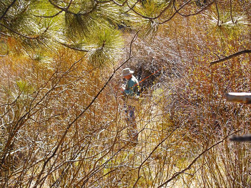 _4261794.JPG - Larry needed to "re-worm".  Hard to believe there's a stream worth fishing in this photo.