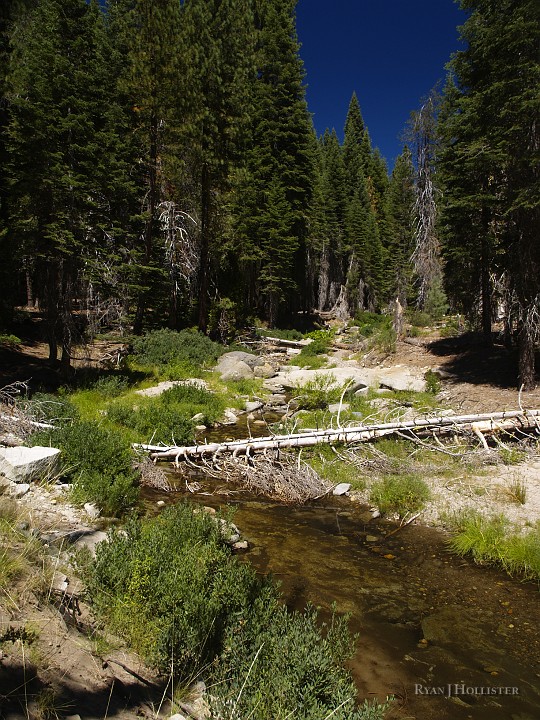 _8104757.JPG - Unfortunately, the trout here were very picky and VERY small.  The biggest I saw was maybe 6" max.   They would chase my little Panther Martin lure, but couldn't get their mout around it.  If I had wokms and a # 12 hook I'm sure I would have knocked 'em dead.