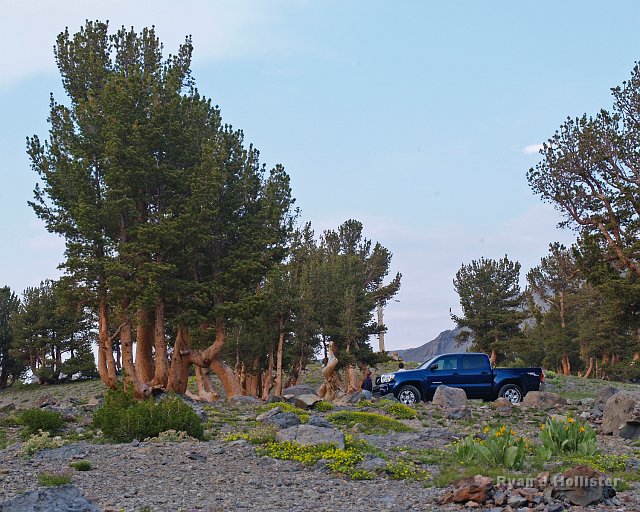 _7124243.JPG - Dave was pleased with the performance of his Tacoma.