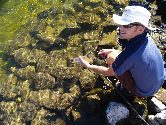 _7173169.JPG - Ah ha! A whitefish!  It was released a little bloodied, but OK.