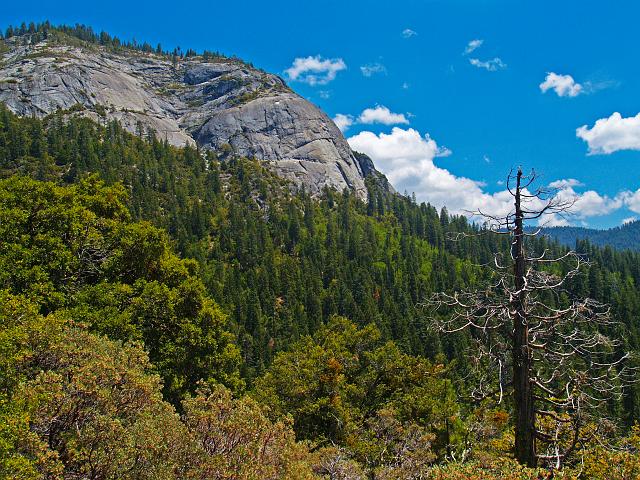 _6012383.JPG - Wawona Dome.  By the time this hike was over we'd be near parallel with the top of it.  Looks like we have some work to do!