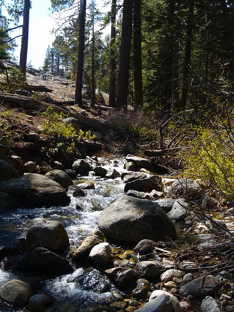 _6012417.JPG - Here's that unnamed feeder stream.  You'll find it on the topo just past the upper falls.