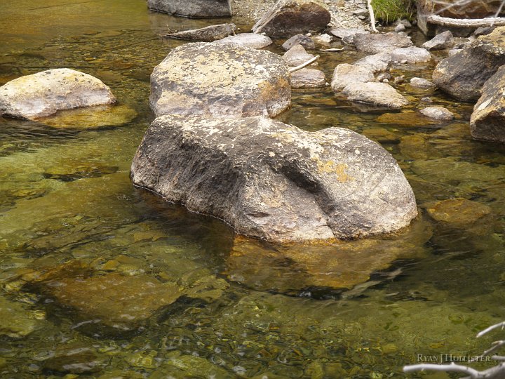 _8054498.JPG - The clarity of the water let us see tons of fish on the Dana Fork.