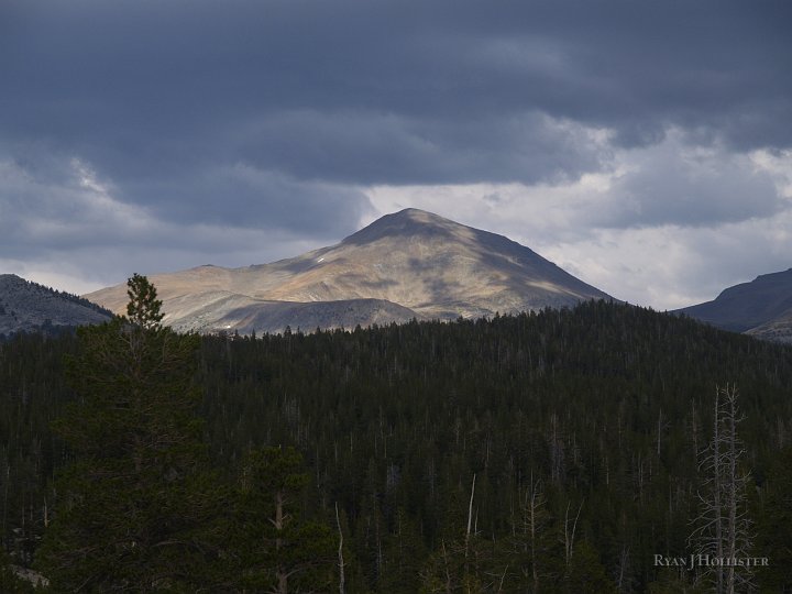 _8054597.JPG - Mt Dana