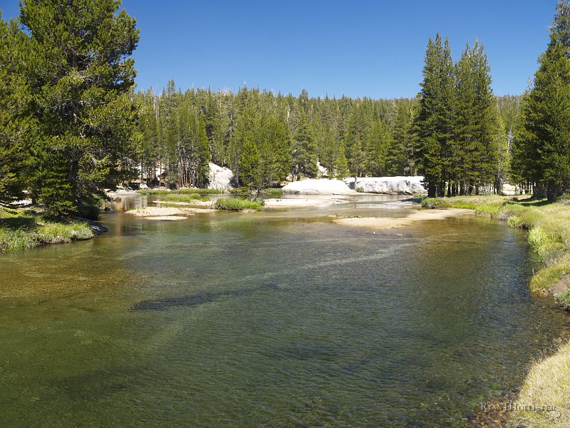 _8094643.JPG - The entire length of the Lyell Fork is dotted with amazing pools.