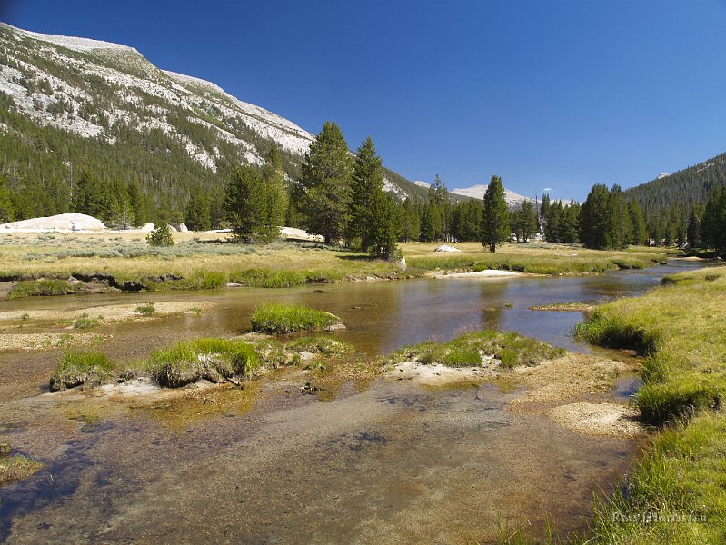 _8094654.JPG - Here's our first look into the actual Lyell Canyon.
