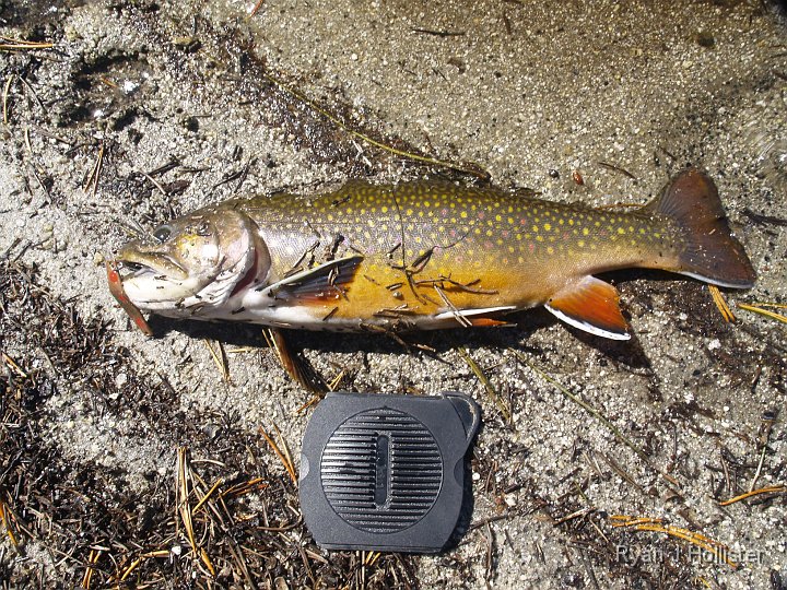 _9235216.JPG - My second big boy.  Lens cap is about 3.75 inches wide.