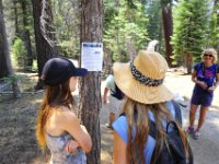What an introduction to Yosemite: Mountain Lions had been sighted in the area.  Awesome!