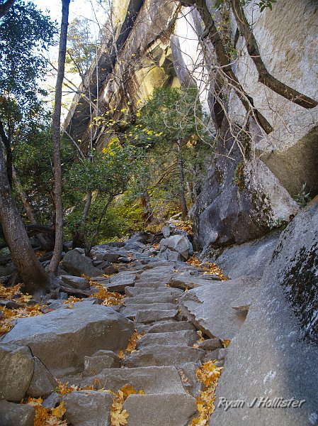 20091030_WildLink_PickUp_0527.JPG