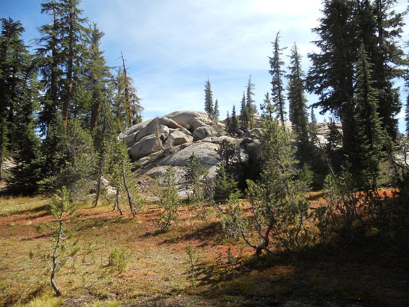 DSCN0415.JPG