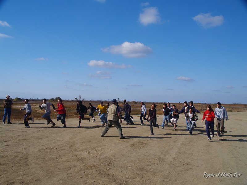 mendota_wildLink_111409_0950.JPG - Let the migration begin!