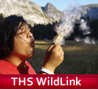 Turlock High Student's WildLink Adventures