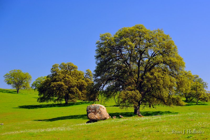 SanJoaquinEtAl41.jpg - White Rock Road near La Grand, CA.
