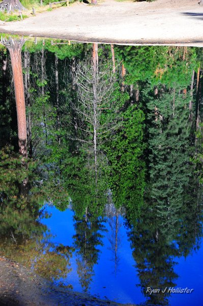 RJH_5377.JPG