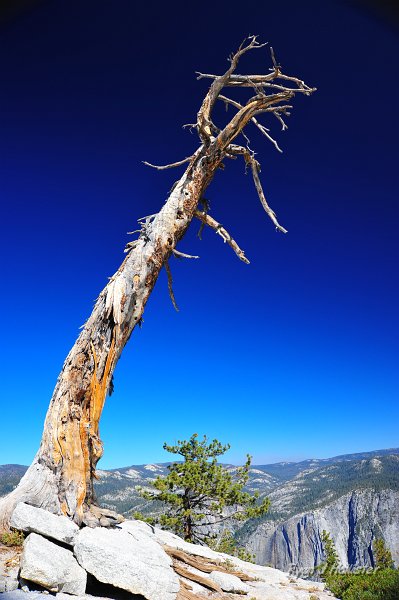 RJH_5479.JPG