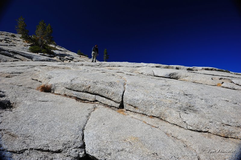 RJH_5481.JPG - Notice the great exfoliation?
