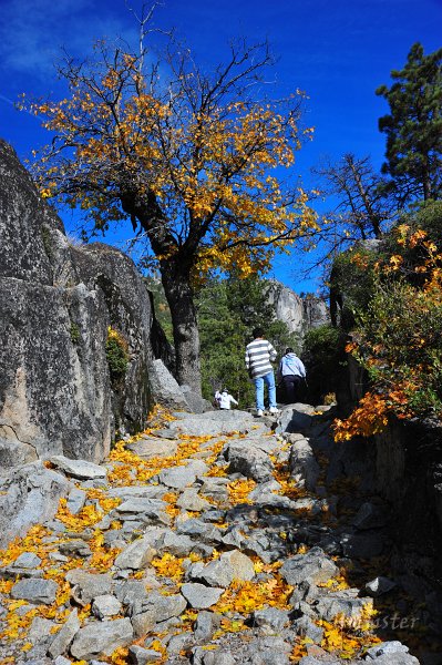 RJH_6565.JPG