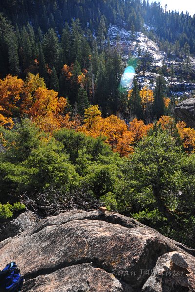 RJH_6647.JPG - What color!