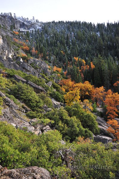 RJH_6709.JPG - A nice gradation of color.
