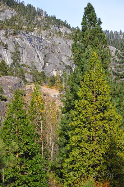 RJH_6711.JPG - If you look in the dead center of the photo you'll notice the top of the falls spilling out of Cleos Bath.