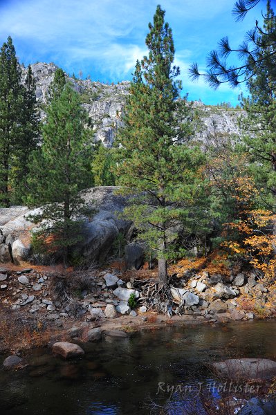RJH_6713.JPG - How much longer before the river wins this battle with the tree?
