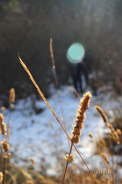 RJH_6724.JPG