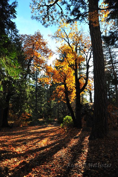 RJH_6742.JPG - Long shadows.