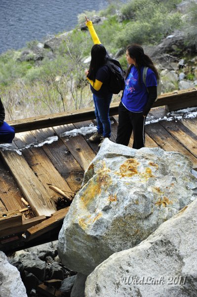 _RJH0024.JPG - These boulders fell at some point within the last few months taking out the bridge.