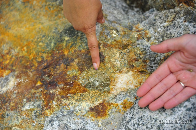 _RJH0026.JPG - Awesome discovery in the bridge-destroying boulder!  Pyrite!