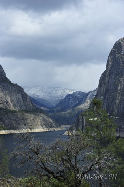 _RJH0092.JPG - This shot shows the nice "U" - shaped profile of the Tuolumne River canyon. Indicative of glacial carving.
