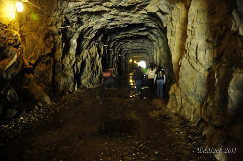 _RJH9915.JPG - The tunnel to the trail side.