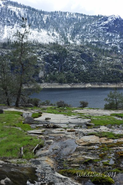_RJH9993.JPG - A look down our cascades to the view across the lake and its cascades.